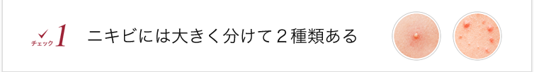 ニキビには大きく分けて2種類ある