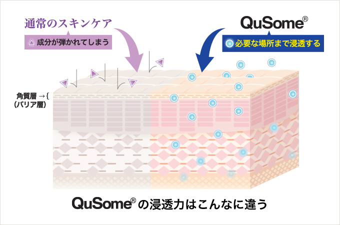 QuSomeの浸透力はこんなに違う