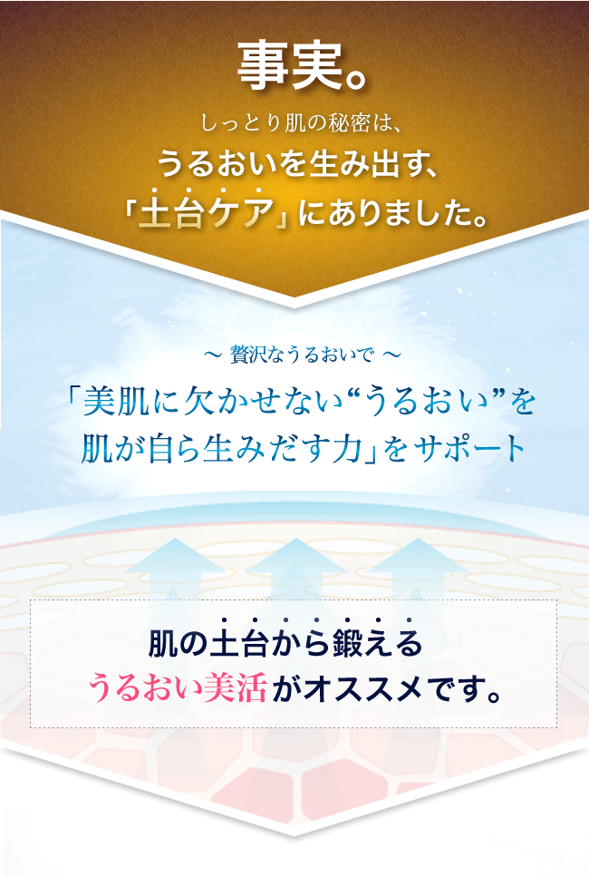 事実。じっとり肌の秘密は、うるおいを生み出す、「土台ケア」にありました。