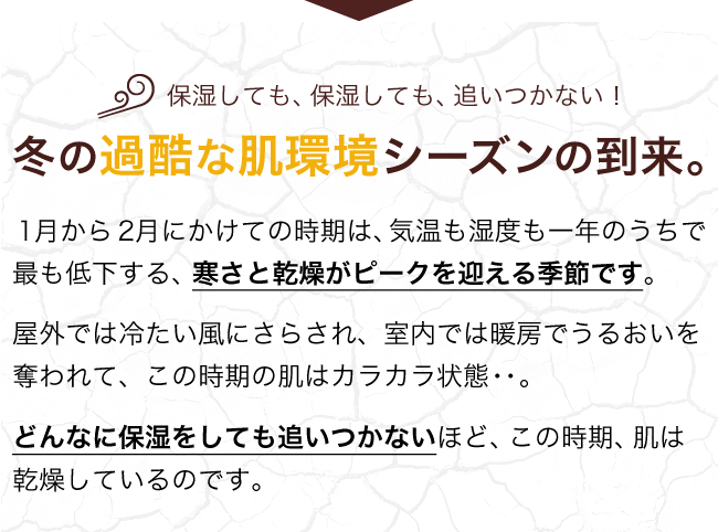 冬の過酷な肌環境シーズンの到来