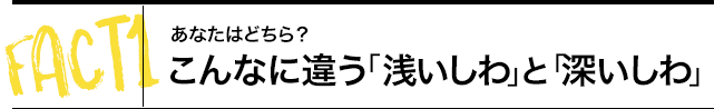 あなたはどちら？ - こんなに違う「浅いしわ」と「深いしわ」