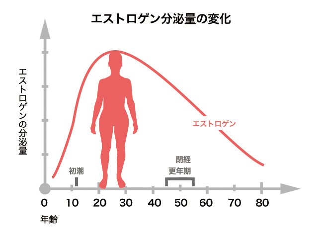 エストロゲン分泌量の変化