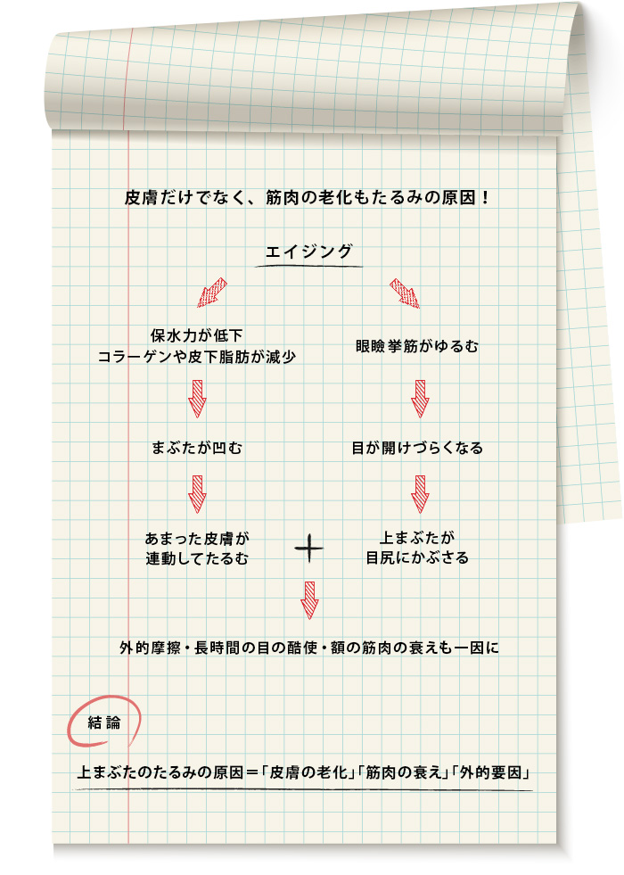 美子の秘蔵ノート〈「上まぶた」たるみの原因〉