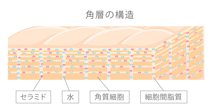 肌、ゴワついてる？冬のゴワつき徹底対策