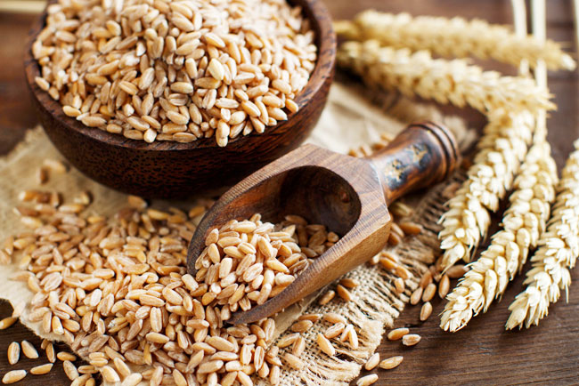 グルテンフリーを始める前に試したい！古代小麦「ファッロ」の魅力を徹底解説