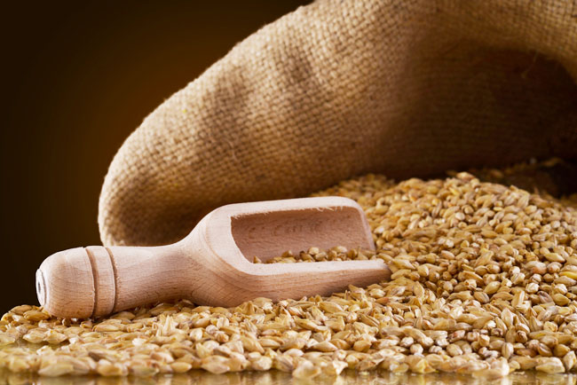 グルテンフリーを始める前に試したい！古代小麦「ファッロ」の魅力を徹底解説