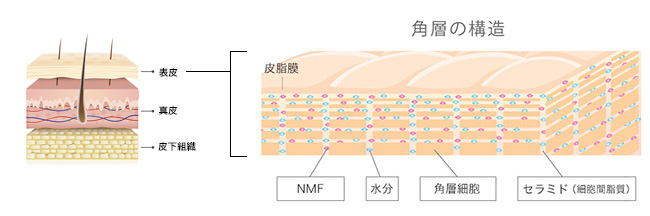 目元の「ちりめんじわ」は消せる！原因と改善策を知ることで早期撃退！ 