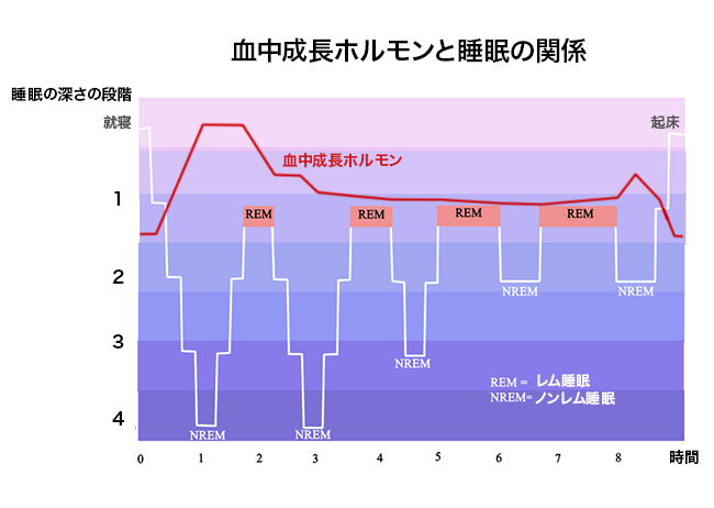 睡眠のゴールデンタイムをとことん活用！質の良い睡眠は最強の美容液