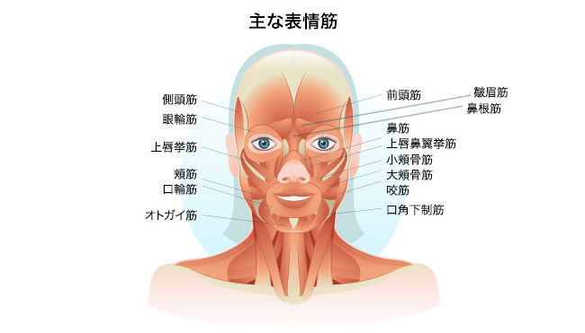 目小顔実現！表情筋マッサージでキュと引き締まったフェイスライン