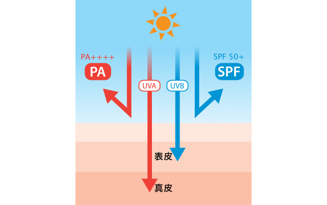 紫外線・シミ・くすみ対策を徹底解説！ VOL.2 体の外から編