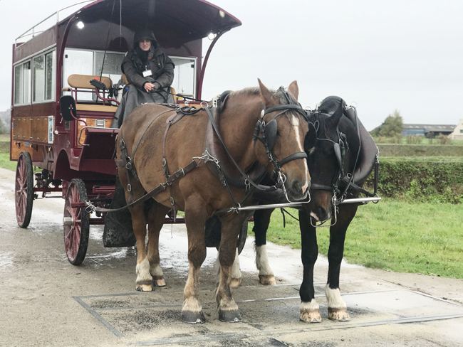 絵になる馬車です。記念撮影をぜひ！