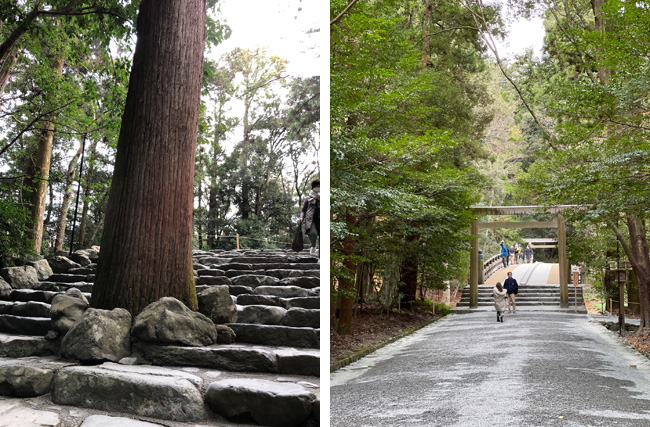 樹齢400年の杉の木（左上写真）と絵になる風日祈宮橋（右上写真）