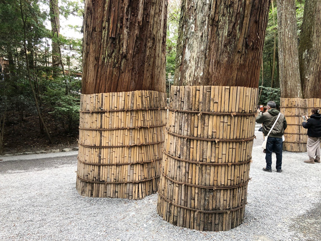 日本人の心のふるさと「伊勢神宮」へ行こう！Vol.4 ついに来ました！「天照大御神(あまてらすおおみかみ)」をおまつりする「内宮」を参拝