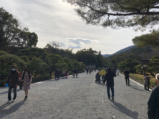 広々としていて気持ちが良い参道