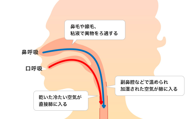 コロナ禍の「口呼吸」にご用心。鼻は天然の高性能マスク!