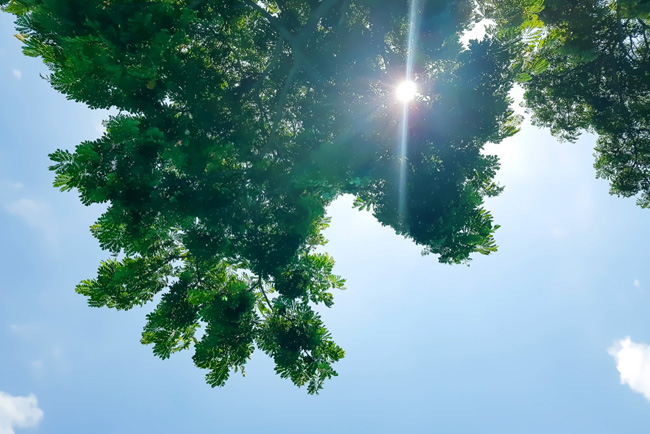 夏が終わっても紫外線対策はマストです！