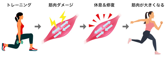 「階段」筋トレ！アスリートの体を支える階段で引き締まった体づくり