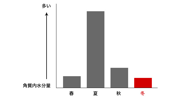 冬は何はともあれ保湿！徹底・乾燥対策