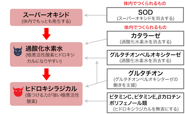 美容医療界で大注目の美容成分「グルタチオン」って何がすごいの？③【美容に必要不可欠な神成分！】ー 知って損なし！美容の知識 ー