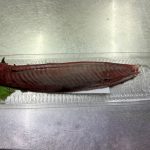 肌の水分量UP！旬の魚で良質な脂を頂く「カツオのたたきサラダパスタ」