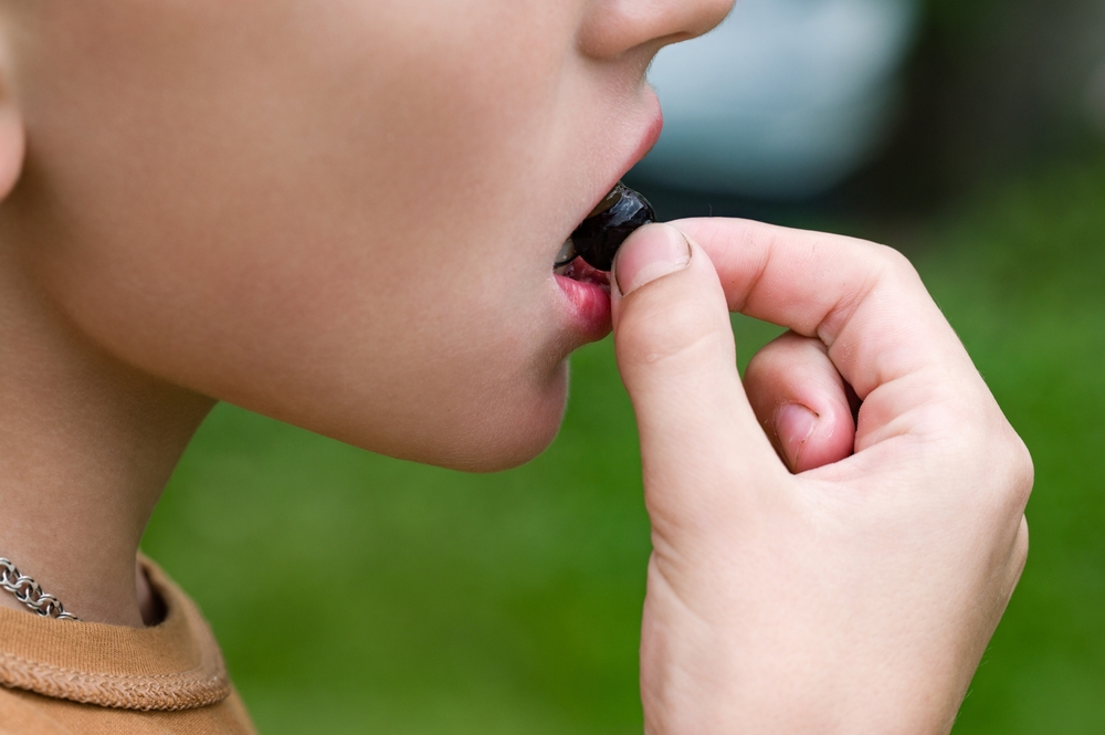 2026年、肌は“濃色”で守る。世界が選んだブラックカラントとベリーの抗酸化力